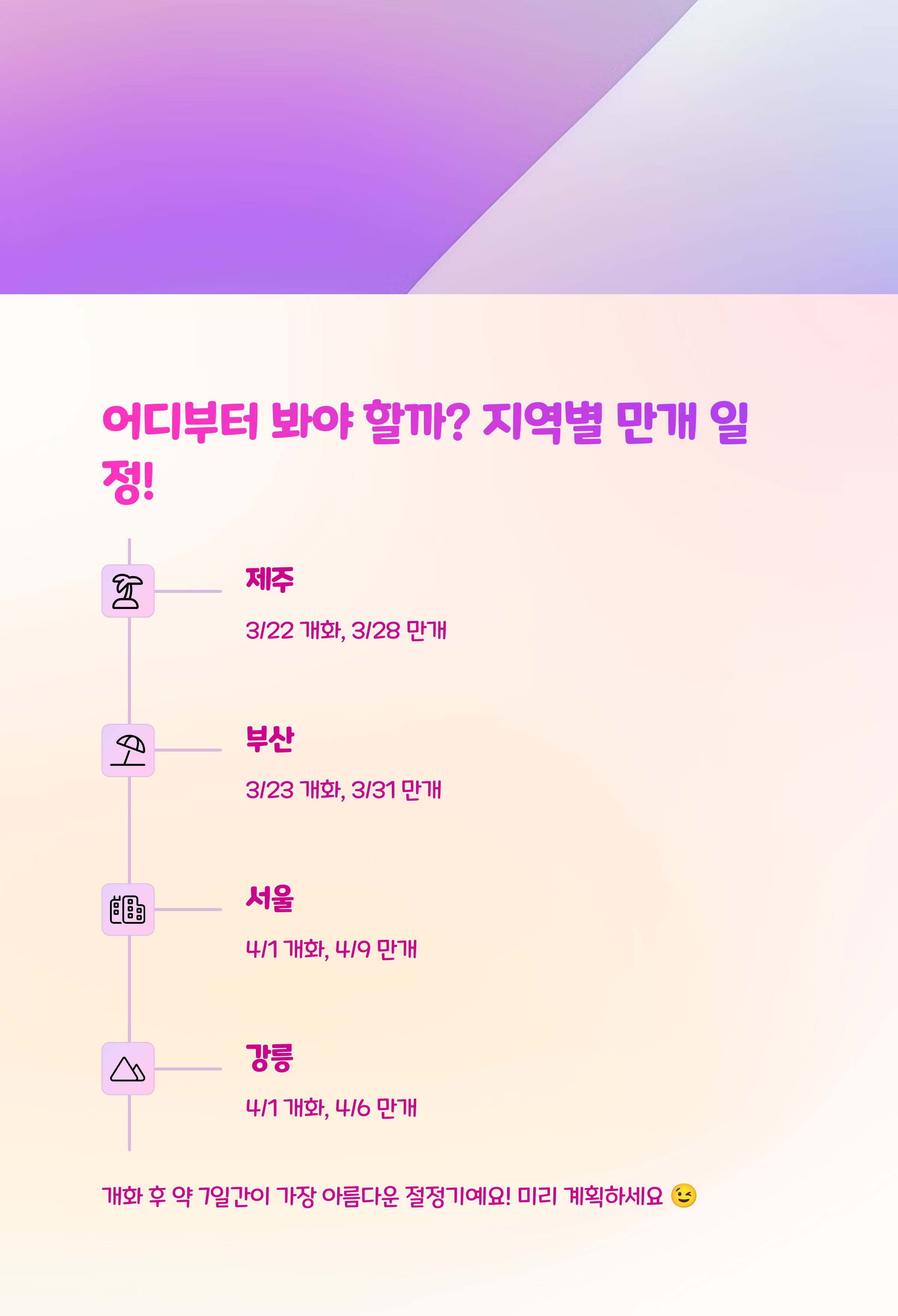 🌸 2025년 벚꽃 개화 &amp; 만개 시기 총정리