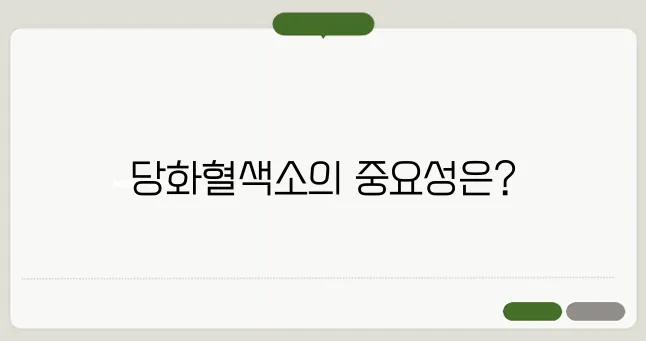 당화혈색소란? 당뇨를 예방하려면 꼭 알아야할 당화혈색소와 공복혈당!