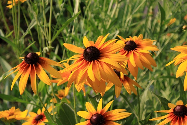 2025년 부산 장마기간