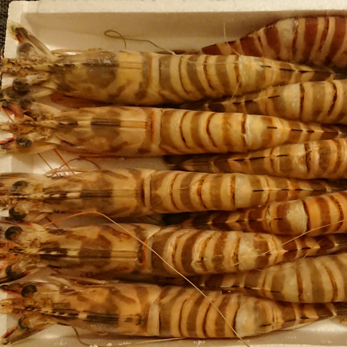 보리새우의 효능과 요리법&amp;#44; 부작용 알아보기