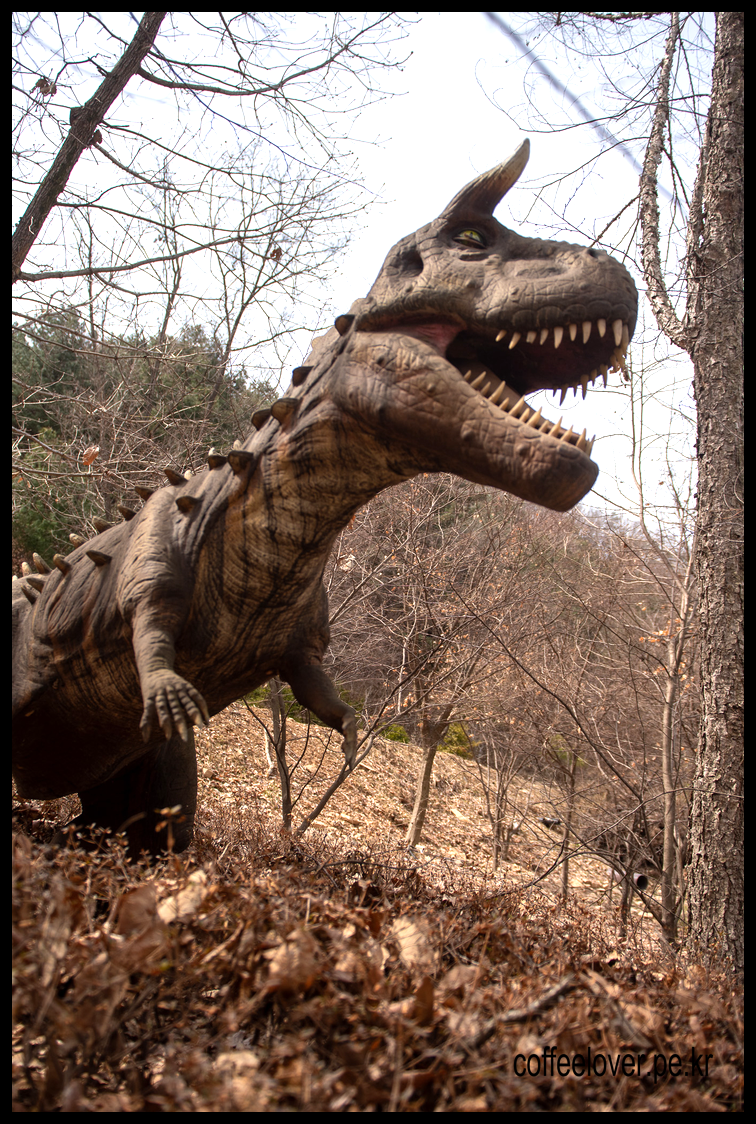 이천 여행 아이와 가볼만한곳 덕평 공룡수목원