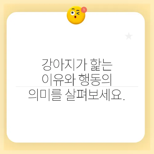 강아지가 핥는 이유와 행동의 의미를 살펴보세요.