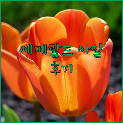 에메랄드 아일 호텔 숙박 후기 럭셔리..