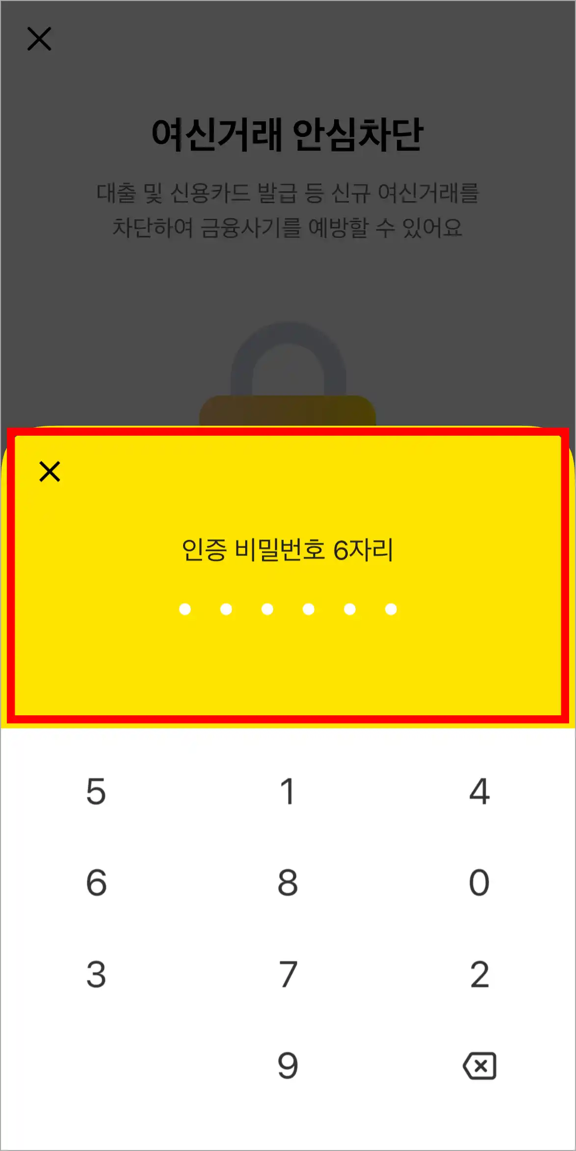 카카오뱅크의 인증 비밀번호 6자리를 입력