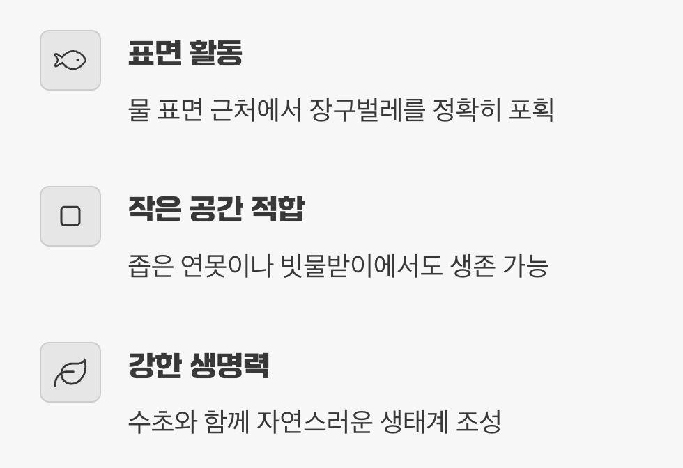 우리 동네 해결사&amp;#44; 송사리