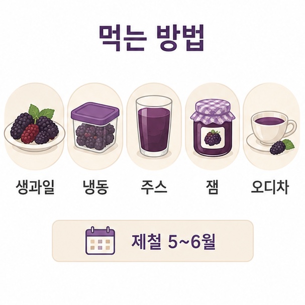 오디 먹는 방법 다섯 가지 비교