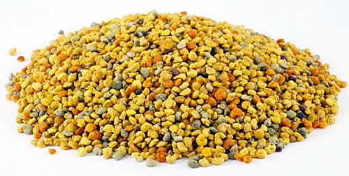 벌화분 알레르기