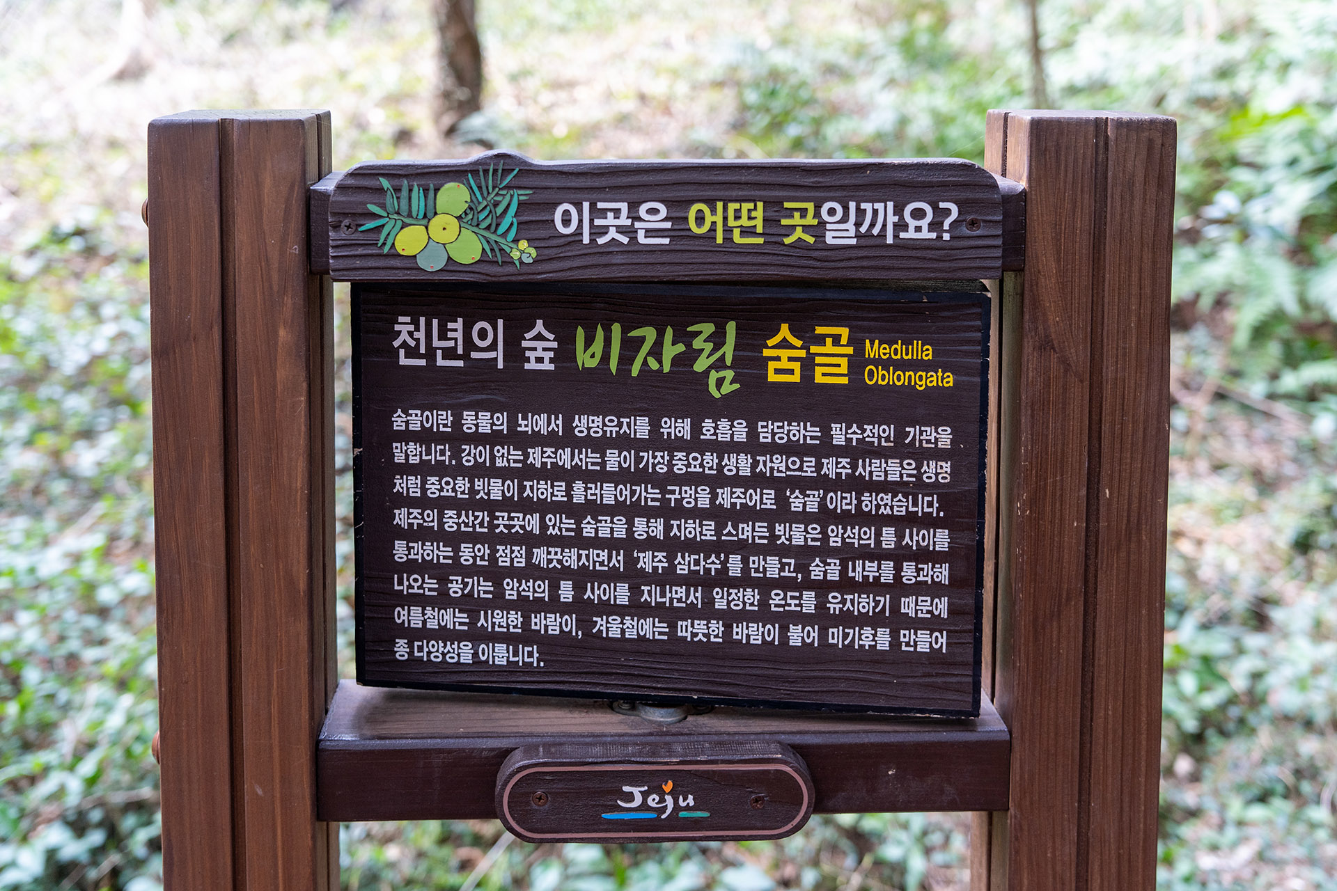 비자림 숨골