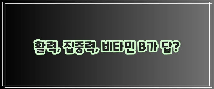비타민 B 효능 정말 중요하죠!