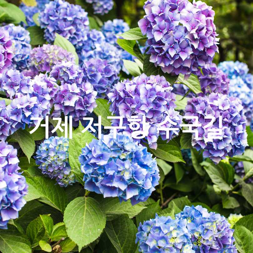 6월 국내여행지 베스트 10