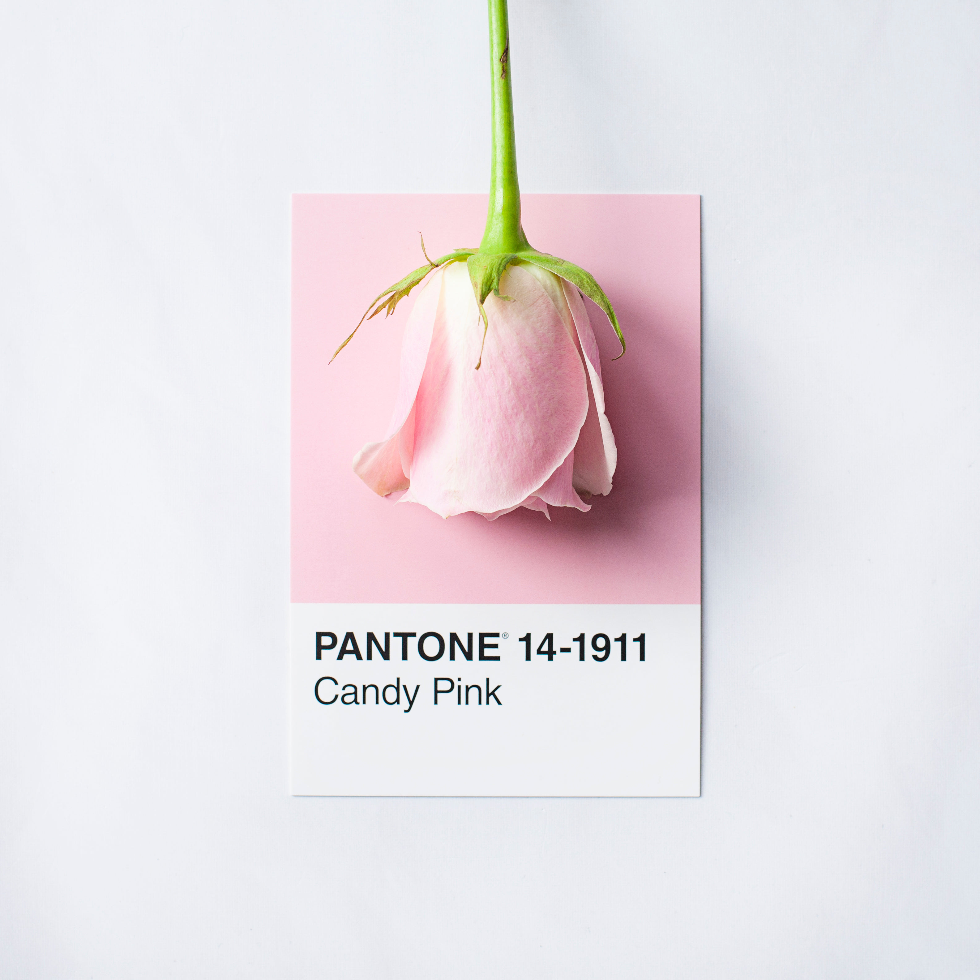깨닳음과 깨달음 차이 알아보기