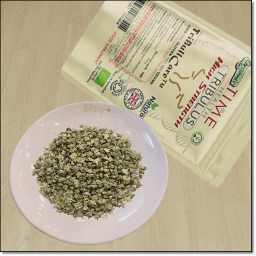 트리뷸러스 효능