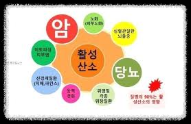 활성산소와 관련된 질환들