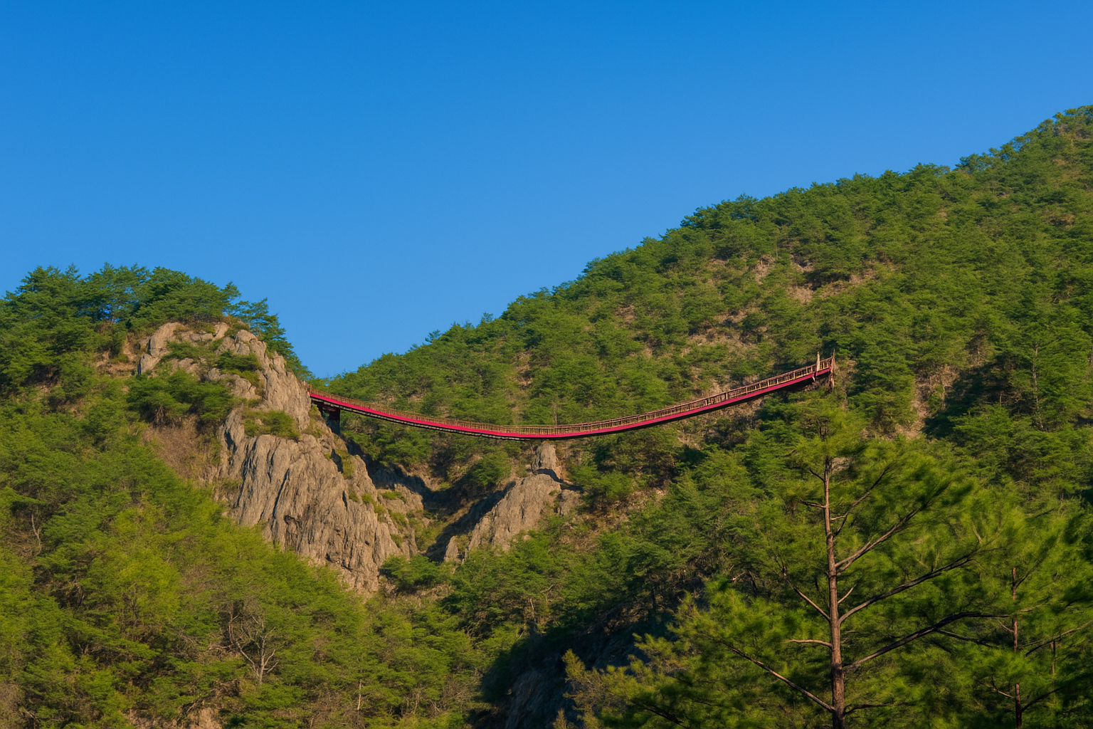 무주 구천동 출렁다리