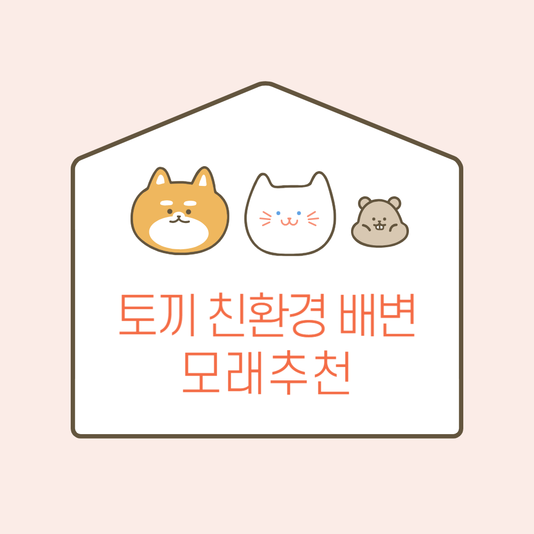 토끼 친환경 배변 모래 추천 관련 이미지