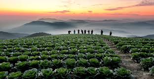 9월 국내여행지 베스트10 추천