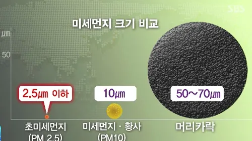 미세먼지와 초미세먼지 차이