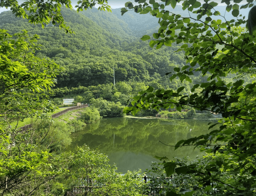국립칠곡숲체원