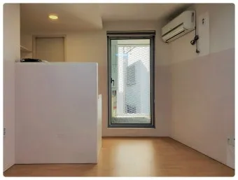 북향집 식물 선택 저조도관리 물주기 식물등 활용 방법_8