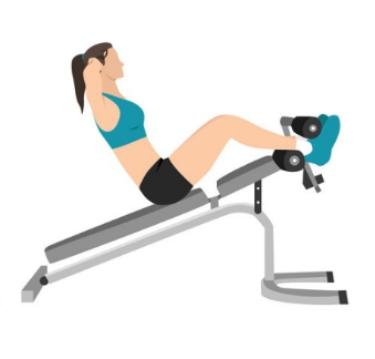 ALT: 디클라인 벤치 싯업 상복부 수축 동작 복근 운동