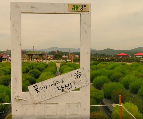 양주나리공원 댑싸리포토존