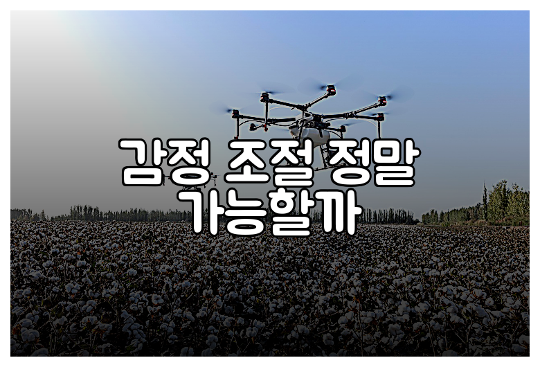감정 조절 정말 가능할까