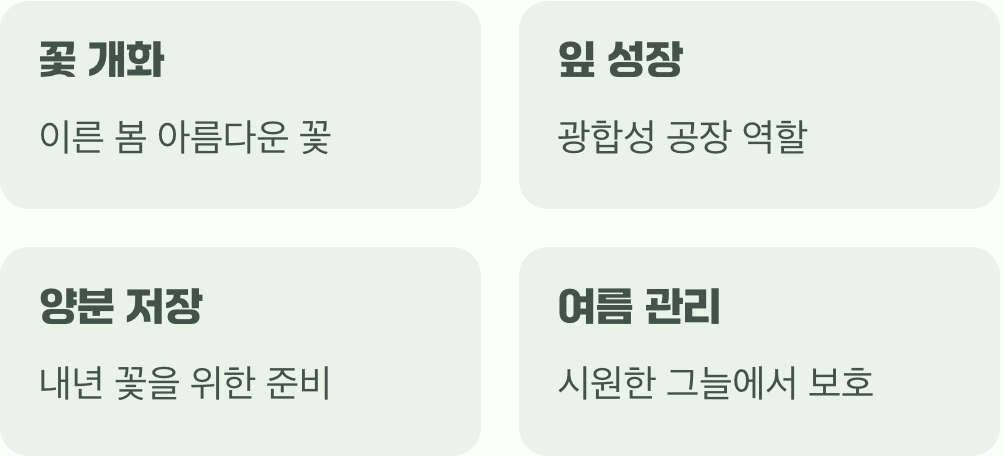 꽃이 진 뒤, 진짜 시작