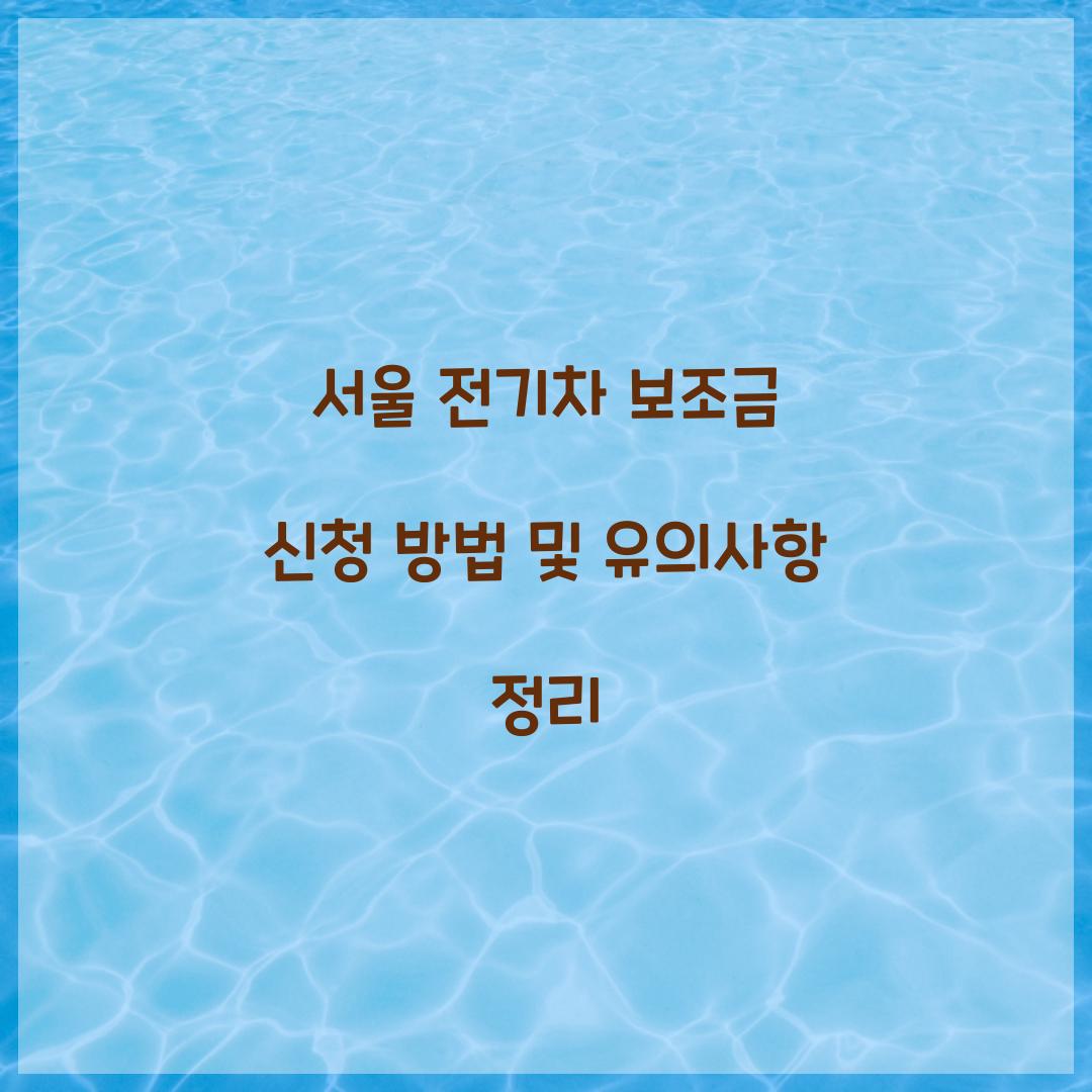 서울 전기차 보조금