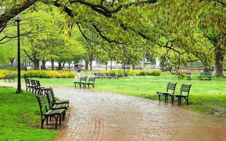 도시 열섬현상이 건강에 미치는 영향과 예방법