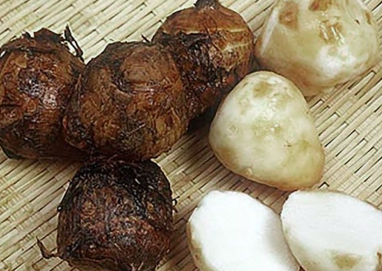 토란의 효능과 장점