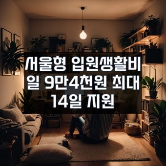 서울형 입원 생활비 지원