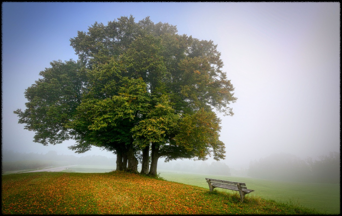 아이들과 체험 가능한 서산 가을 여행지 (목장, 휴양림, 공원)