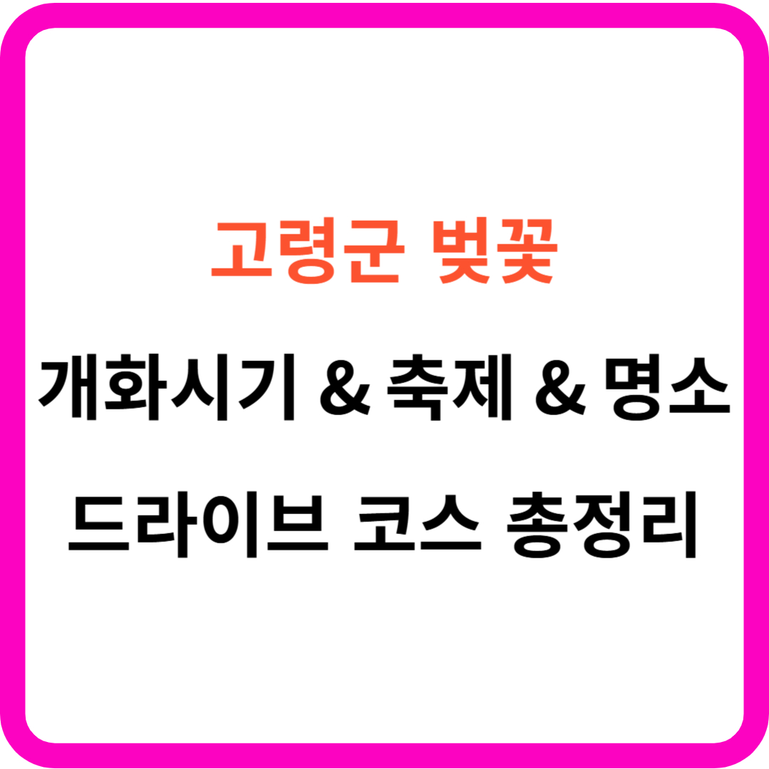 고령군 벚꽃 개화시기 명소 드라이브코스