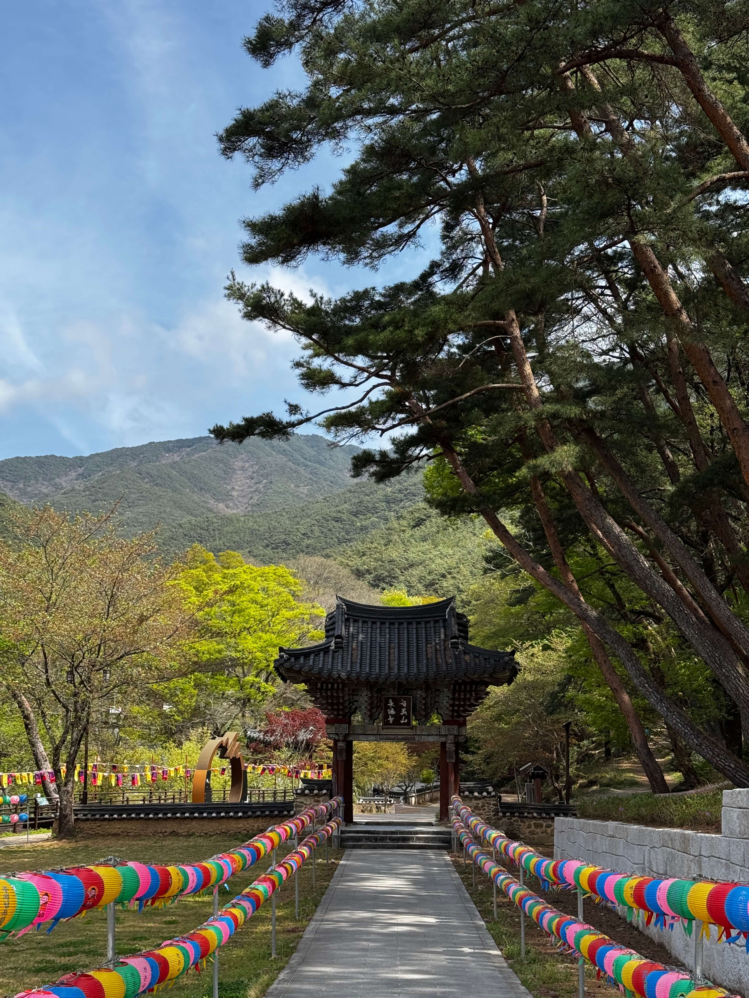 자연 속 명상을 할 수 있는 천은사 가는 길