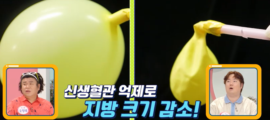 락토페린