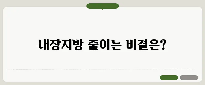 내장지방 빼는법 효과적으로 식단과 운동이 핵심