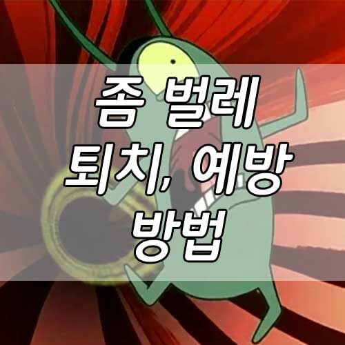 좀 벌레 퇴치법, 옷감 상하게 만드는 좀벌레 예방하고 퇴치하는 방법