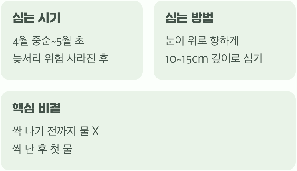 1. 모든 것의 시작, 땅속의 보물 (구근 심기)