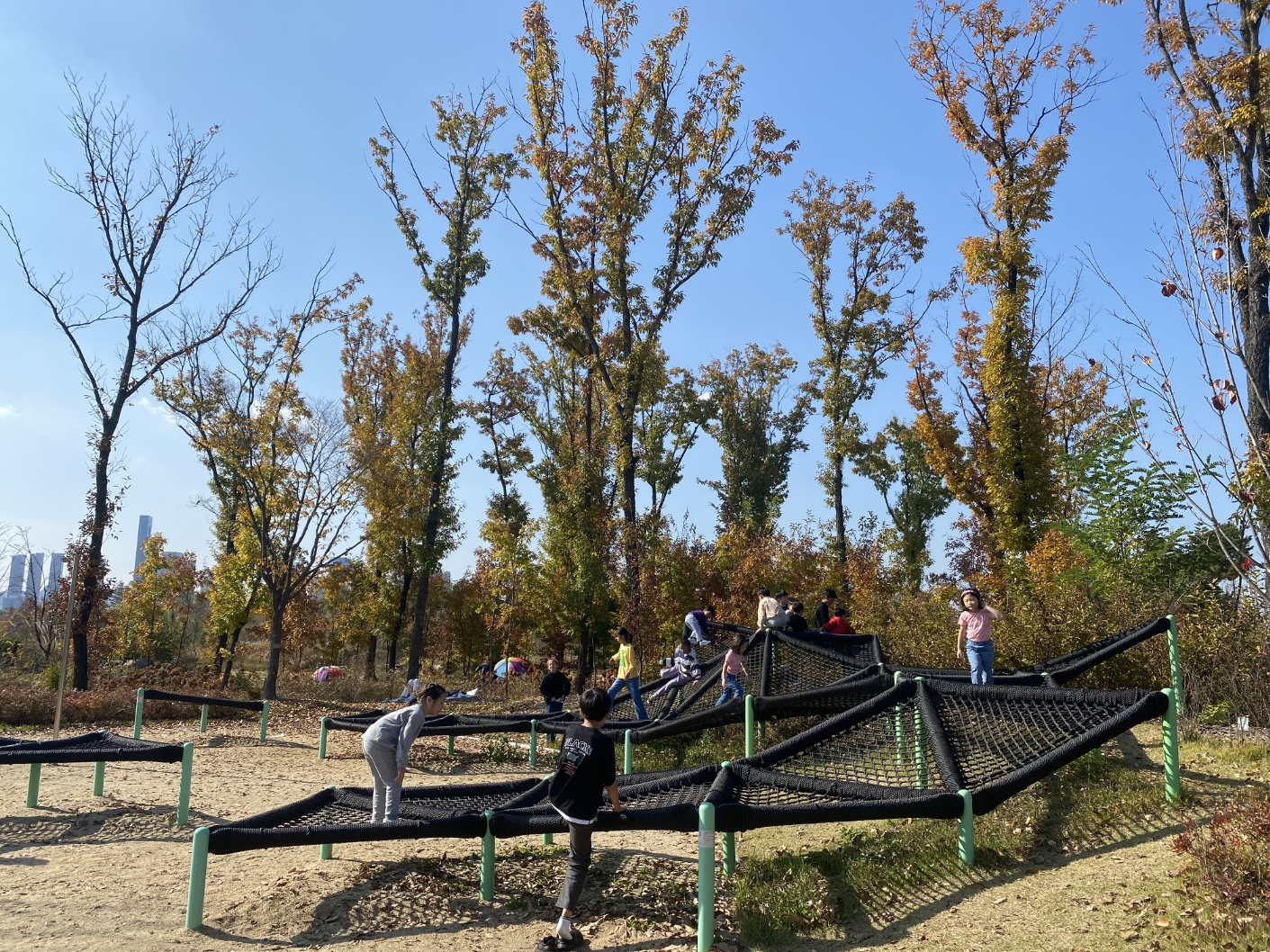 세종 아이와 가볼 만 한 곳 (세종수목원)