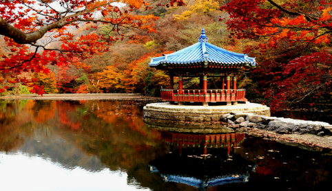 가을에 꼭 가야하는 단풍이 유명한곳 BEST 5곳