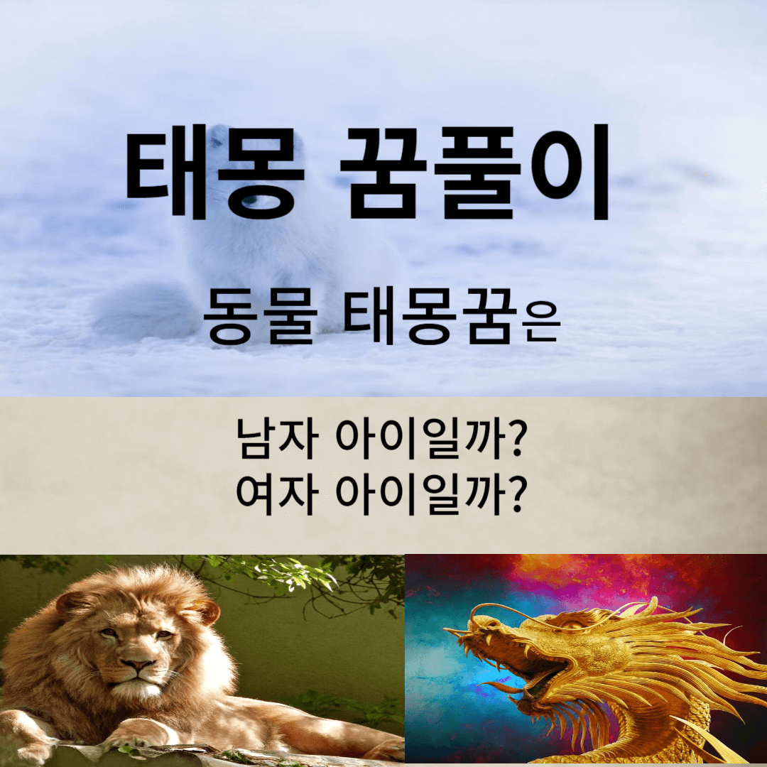 태몽꿈풀이 동물태몽꿈