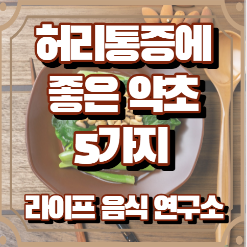 허리통증에 좋은 약초 5가지