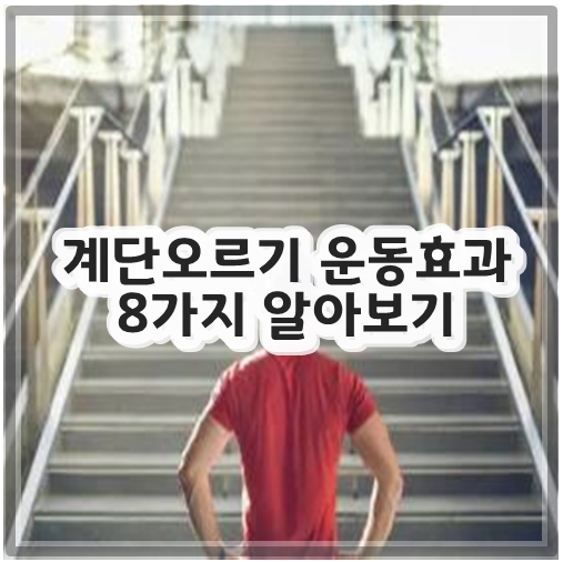 계단오르기 운동효과 8가지 알아보기