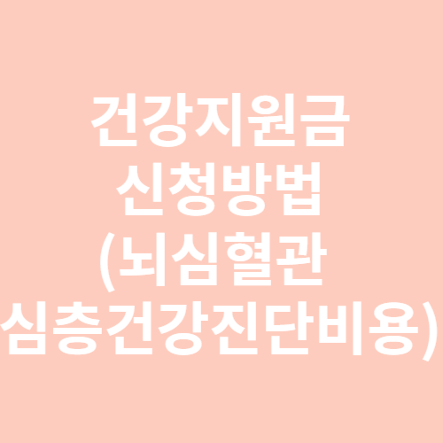 건강지원금
