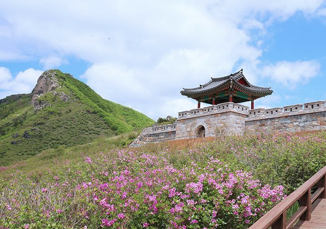 산청황매산 철쭉제