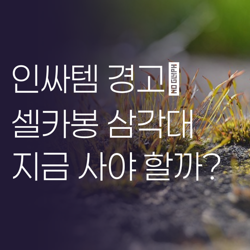 인싸템 경고 🚨 셀카봉 삼각대, 왜 ..