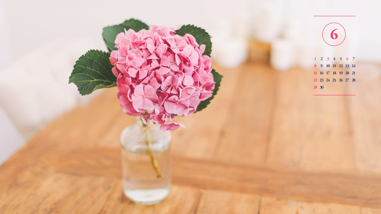 12 분홍수국 A - 2025년6월 노트북배경화면