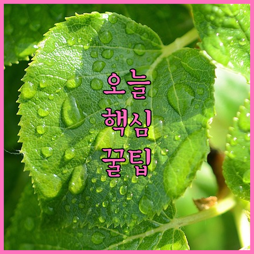 국가장학금 2024, 이것 모르면 탈..