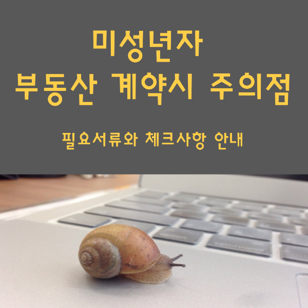 미성년자 부동산 계약시 주의점