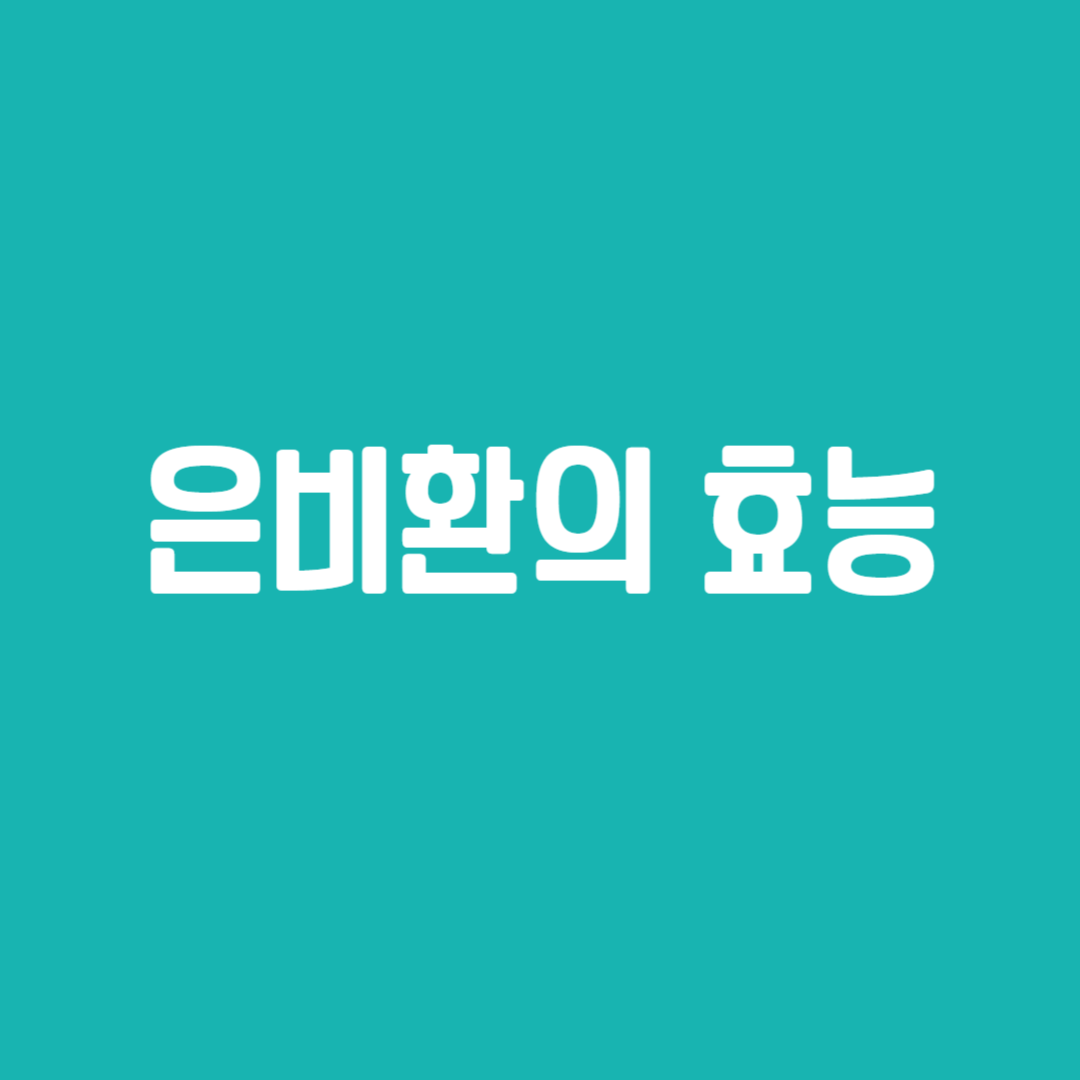 은비환의 효능